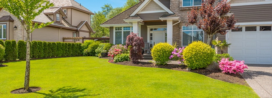 Juans Landscape Construction Cover Image