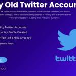 Buy Old Twitter Accounts Profile Picture