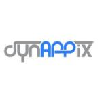 Dynappix IT Services and IT Consulting Profile Picture