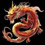 naga5000 resmi Profile Picture