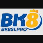 BK Profile Picture
