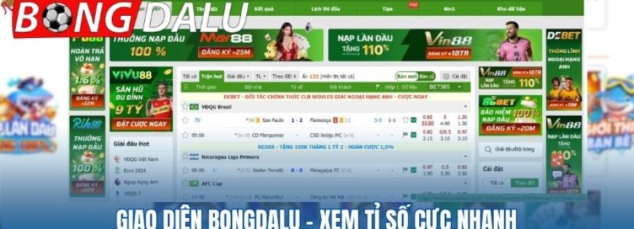 bongdalu Cover Image