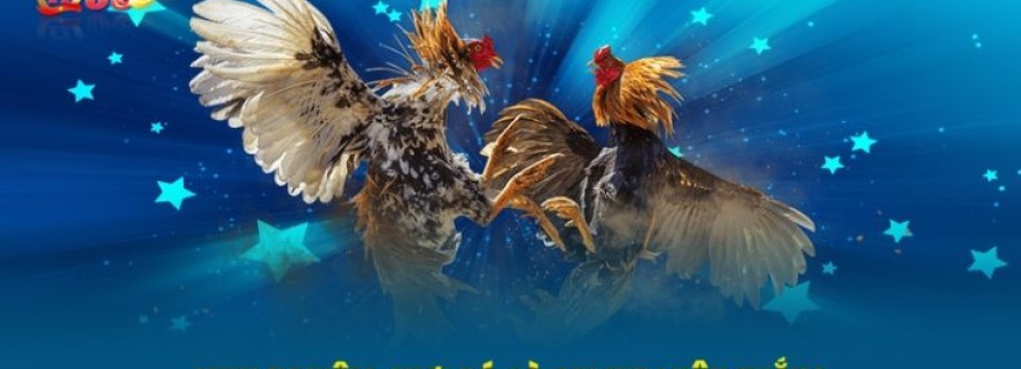 Nhà Cái QH88 Cover Image