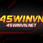 45 winvn Profile Picture