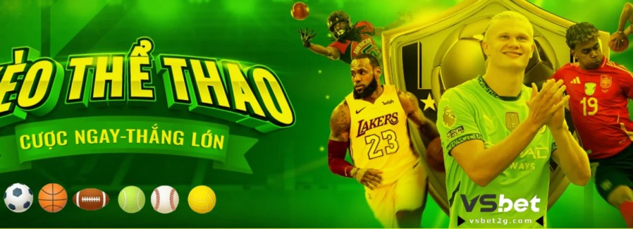 Vsbet2g com Cover Image