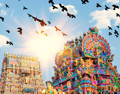 Top Study Abroad Consultants in Chennai | Expert Guidance