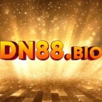 DN88 bio Profile Picture