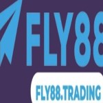 fly88 trading Profile Picture