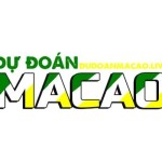 Dự Đoán Ma Cao Profile Picture
