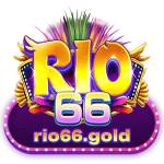 Rio66 gold Profile Picture