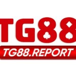TG88 report Profile Picture