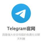 纸飞机中文版 Profile Picture