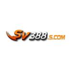 SV388 Profile Picture