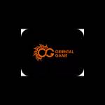 net Ogzhenren Profile Picture
