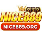 NICE 88 Profile Picture
