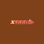 X333 Dev Profile Picture