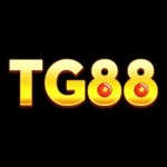 Tg88 bet Profile Picture