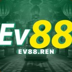 ev88 ren Profile Picture