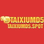 Taixiumd5 Spot Profile Picture