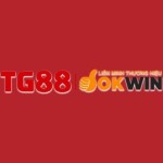 Nhà cái TG88 Profile Picture
