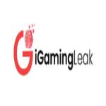 iGaming Leak Profile Picture