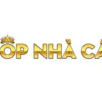 DavidHa topnhacai Profile Picture