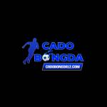 CÁ CƯỢC BÓNG ĐÁ Profile Picture