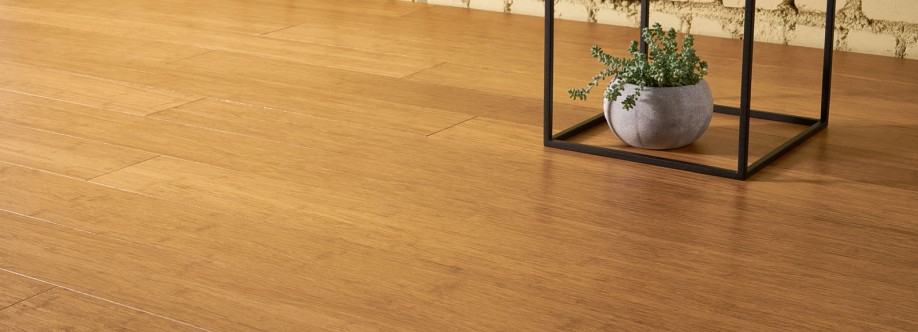 bamboo flooring Cover Image