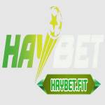 Haybet Profile Picture