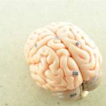 The Neurological Care Center of Montgomery Profile Picture