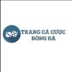 Trang Cá Cược Bóng Đá Profile Picture