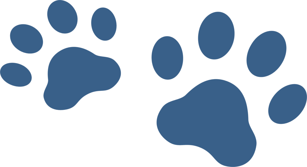 Pet Care and Surgery Center | Veterinary Surgeons Nearby