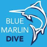 Padi Trawangan Profile Picture