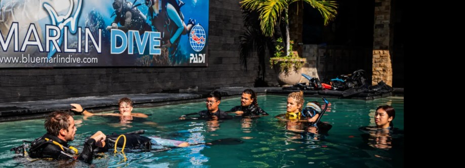 Padi Trawangan Cover Image