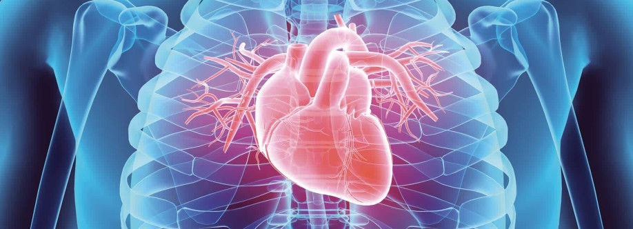 bsadibcard Cover Image