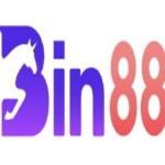 BIN88 Profile Picture