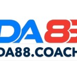 DA88 Profile Picture