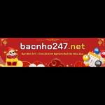 Bacnho247 net Profile Picture