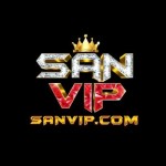 Sanvip Com Profile Picture