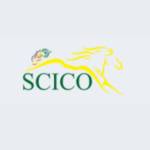 Sharp Consulting and Implementing Company Profile Picture