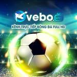 Vebo TV Profile Picture