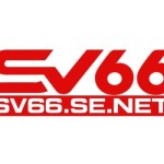 SV66 Profile Picture