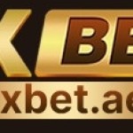 Nhà Đài OXBET Profile Picture