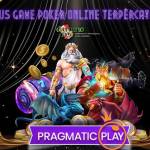 hotelbluenight Profile Picture