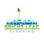 Bright Leaf Cleaning Profile Picture