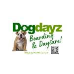 Dog dayz Profile Picture