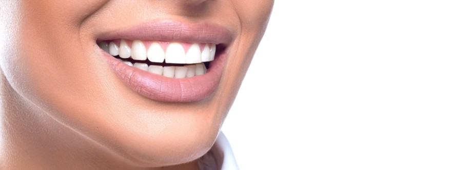 White Lily Dental Centre Cover Image