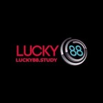 LUCKY88 STUDY Profile Picture