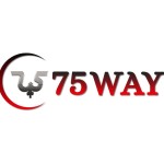 75way Technologies Profile Picture