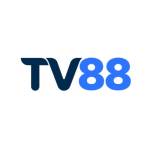 TV88Media Com Profile Picture